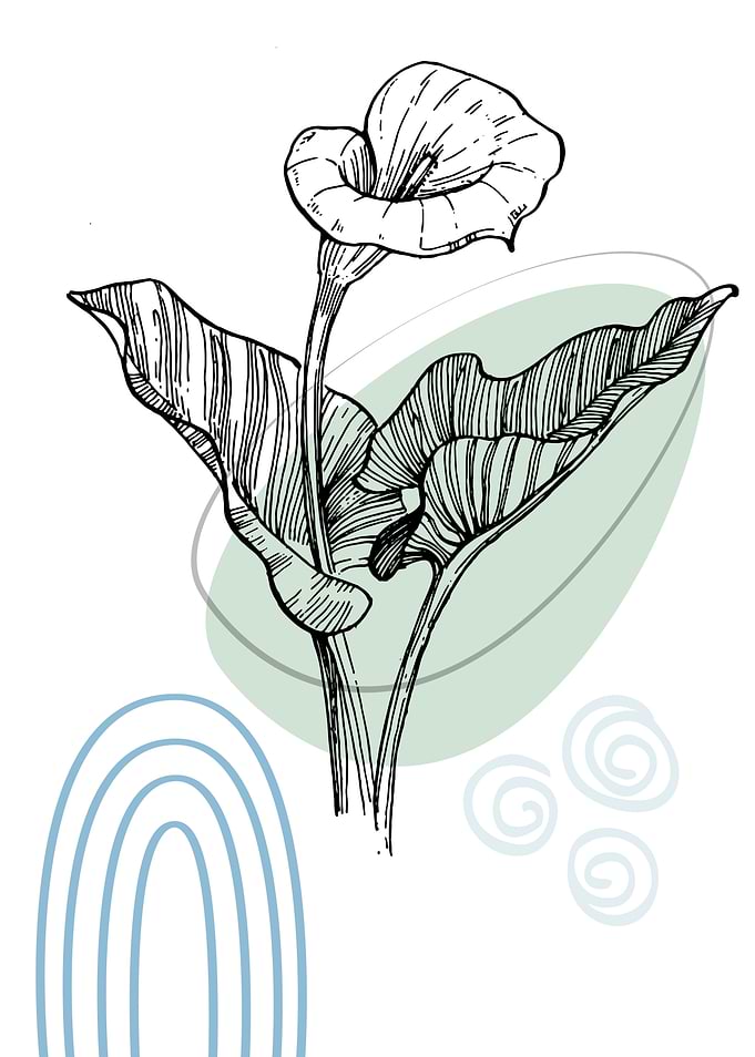Minimalist Calla and lily