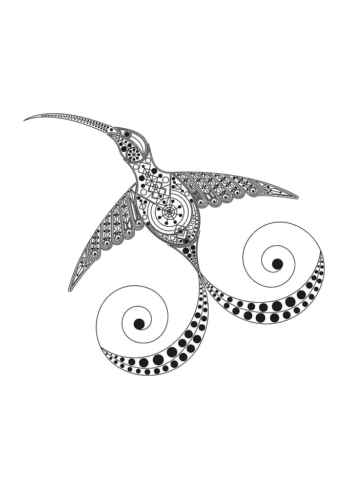 Hummingbird Chiva
