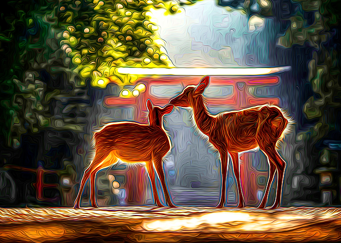 Deer