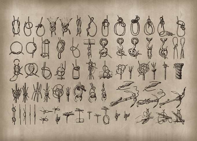 Vintage Knots Drawing