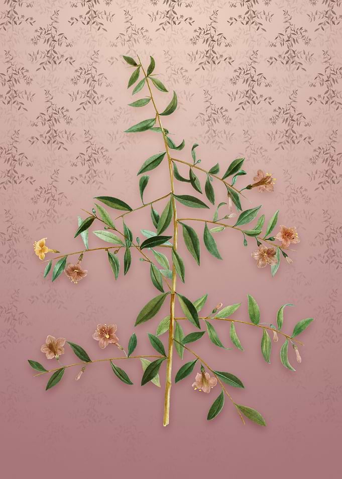 Goji Berry on Dusty Pink