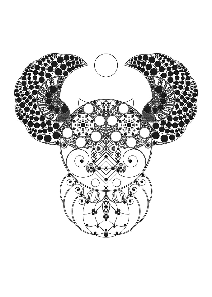 Owl Chiva Style