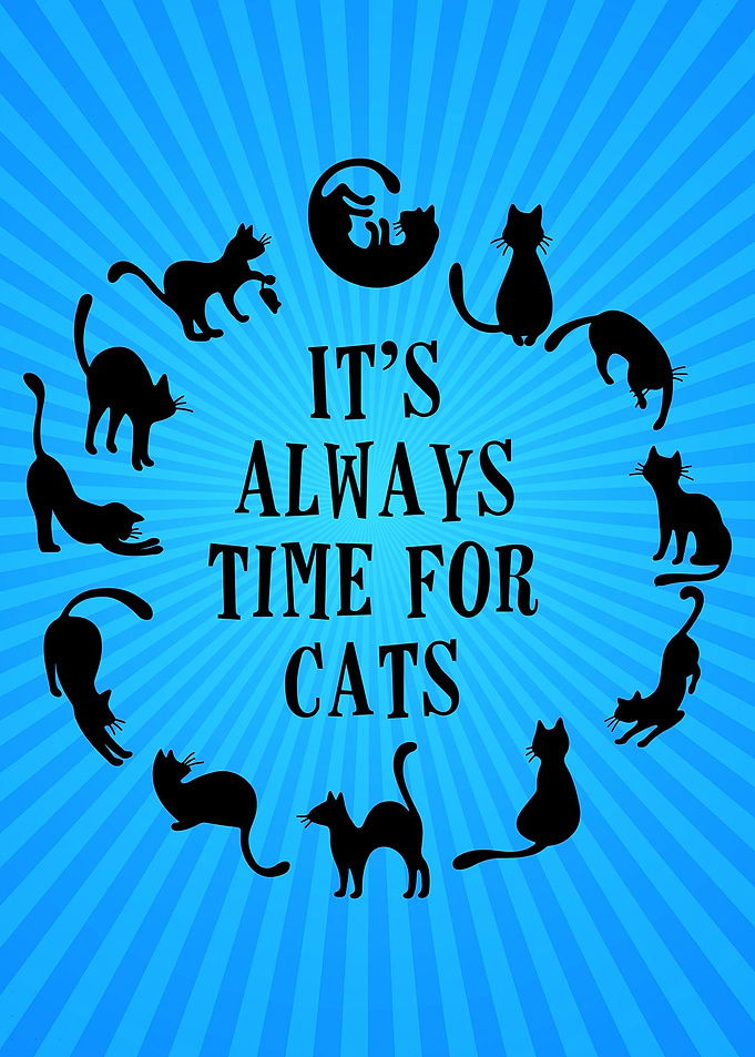 Time for Cats