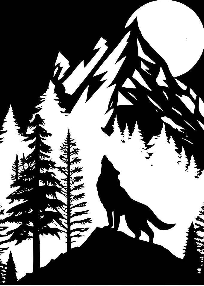Black and White Wolf Howl