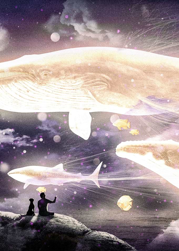 Sea Radiance