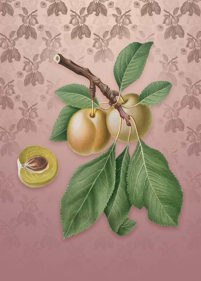 Prune on Dusty Pink