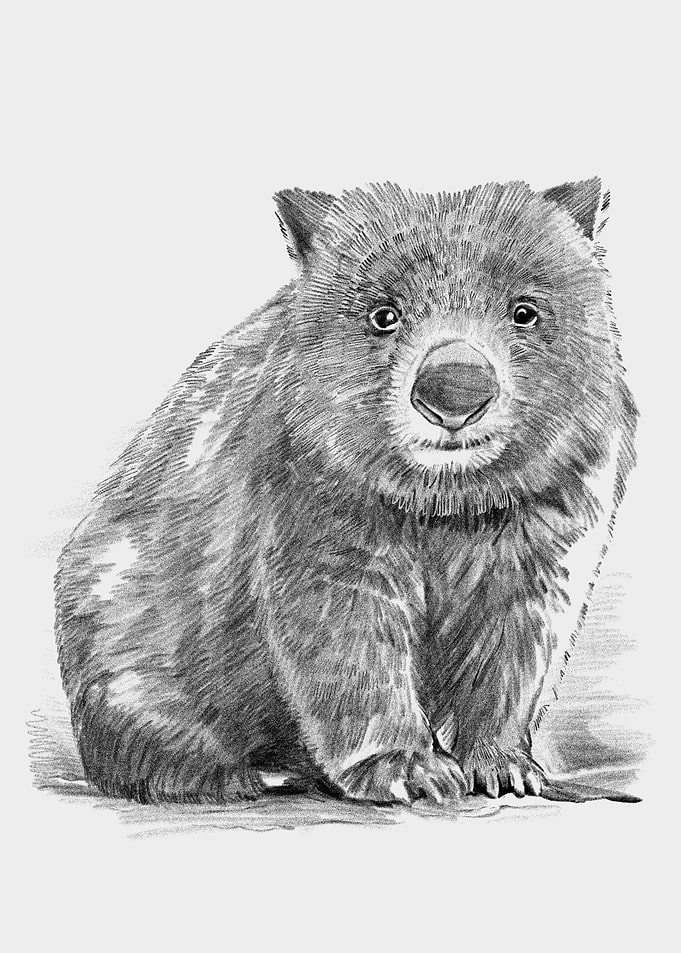 Wombat
