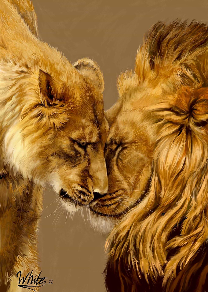 Two Lions In Love