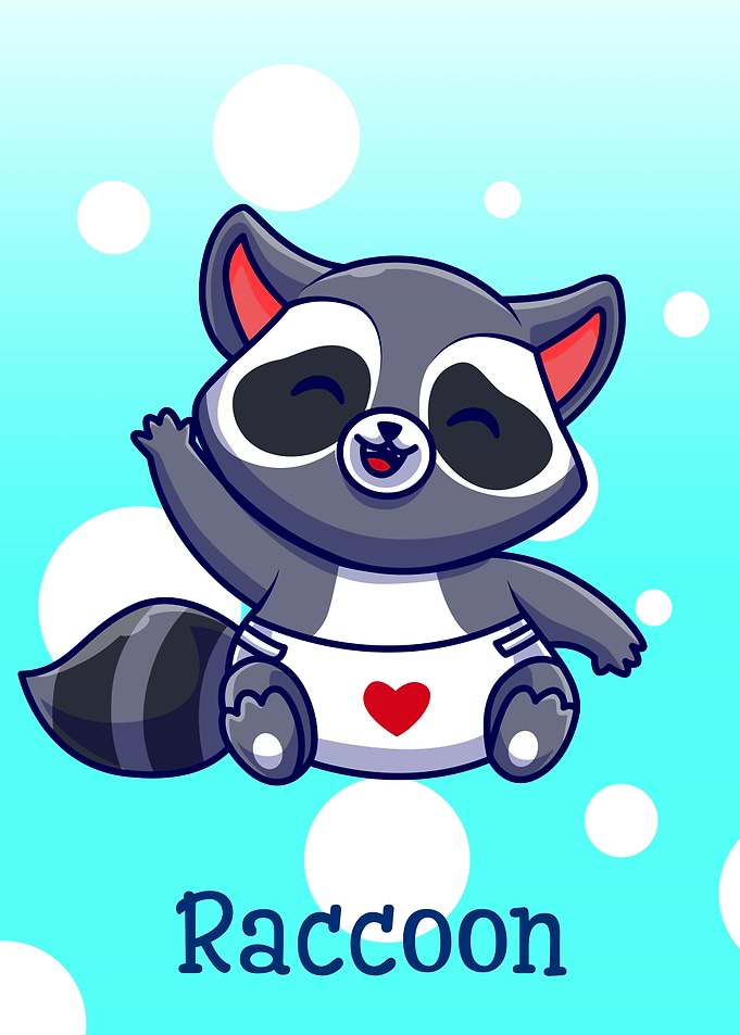 Raccoon