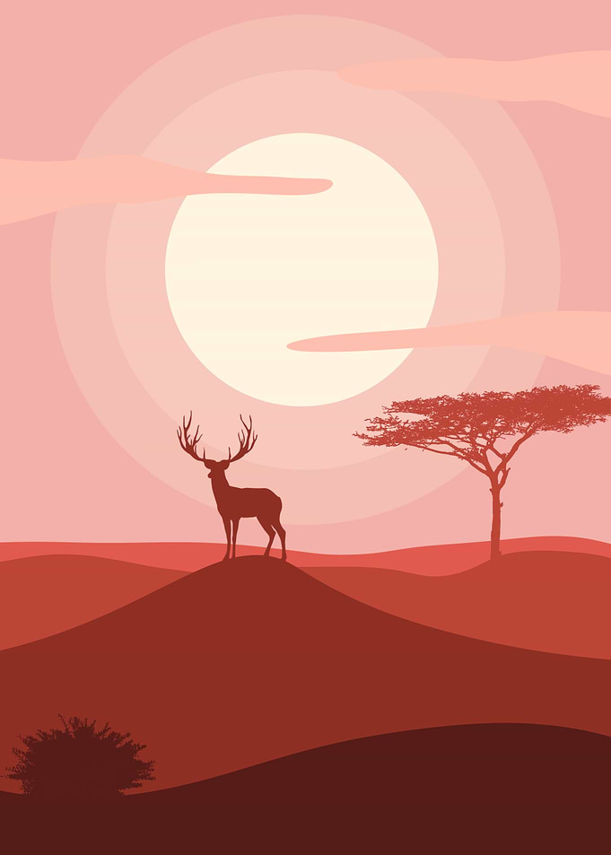 Sun set Stag in sahara