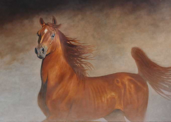 The Majesty