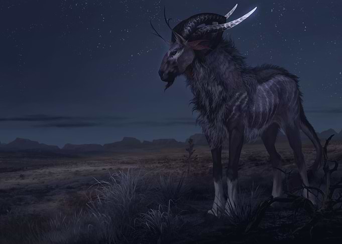Desert night