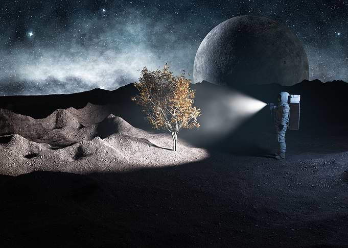 Lost In Space