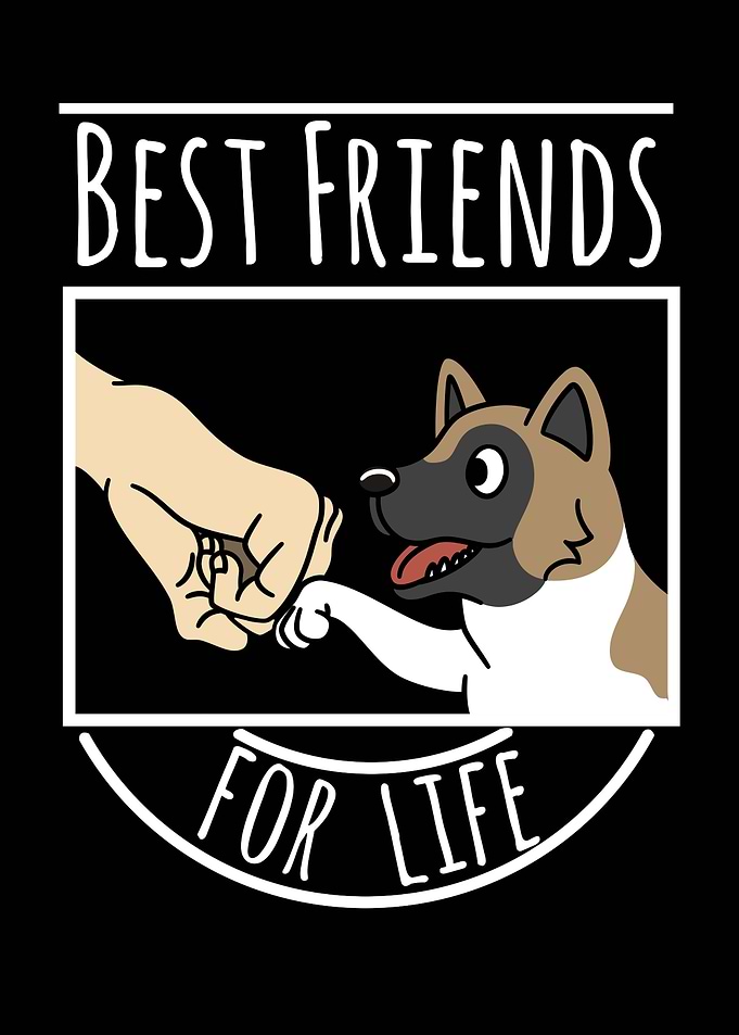Akita Best Friends