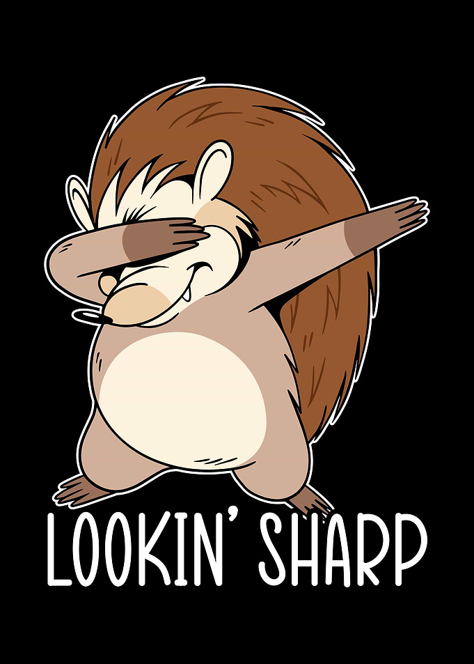 Lookin Sharp Hedgehog