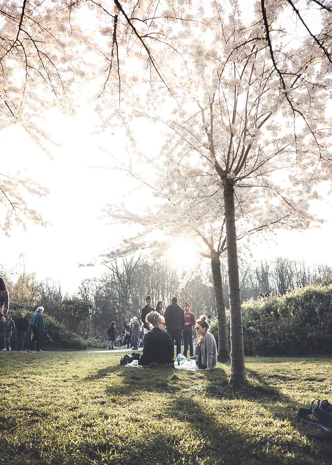 Spring Under a Tree