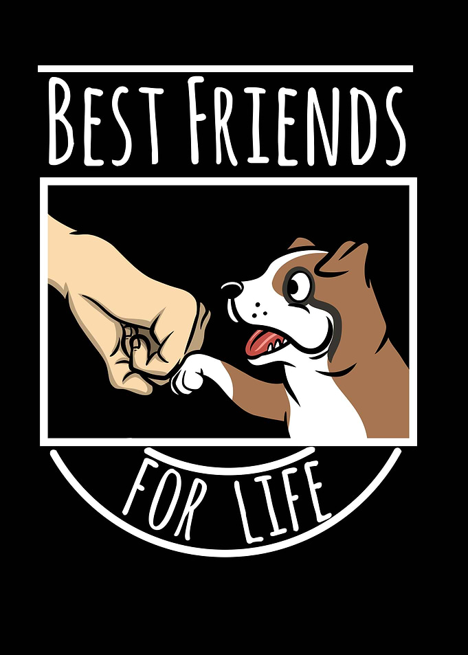 Boxer Dog Best Friends