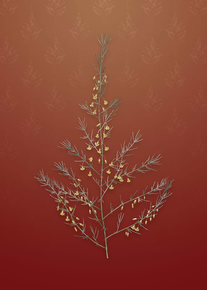 Vintage Sea Asparagus