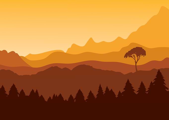Forest by Sunset Nature