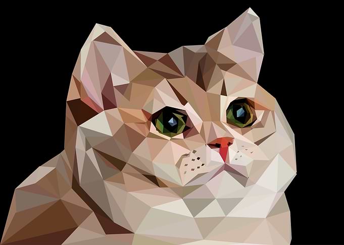 heavy breathing cat