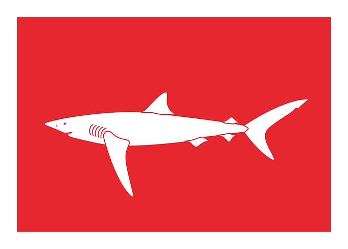 Capture Fish Flags