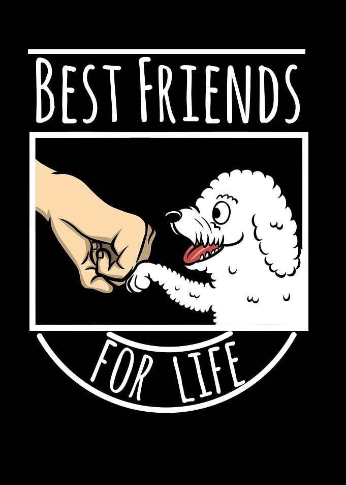 Bichon Frise Best Friends