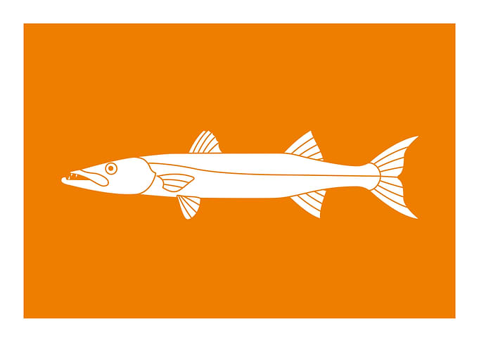 Capture Fish Flags