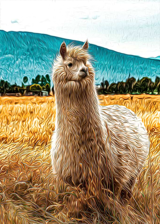 Alpaca