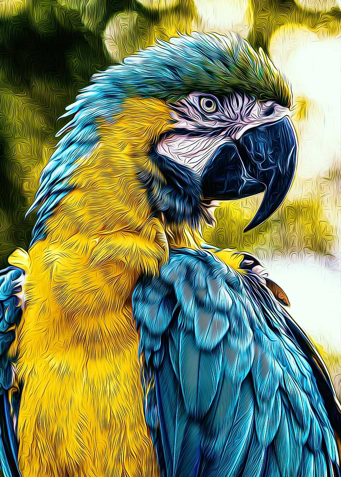 Parrot