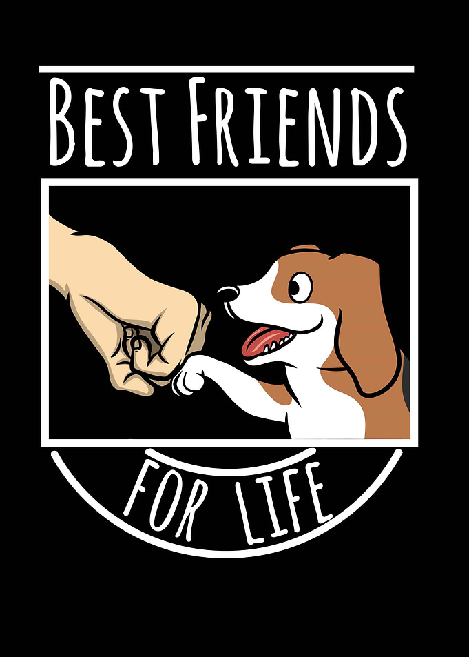 Beagle Best Friends