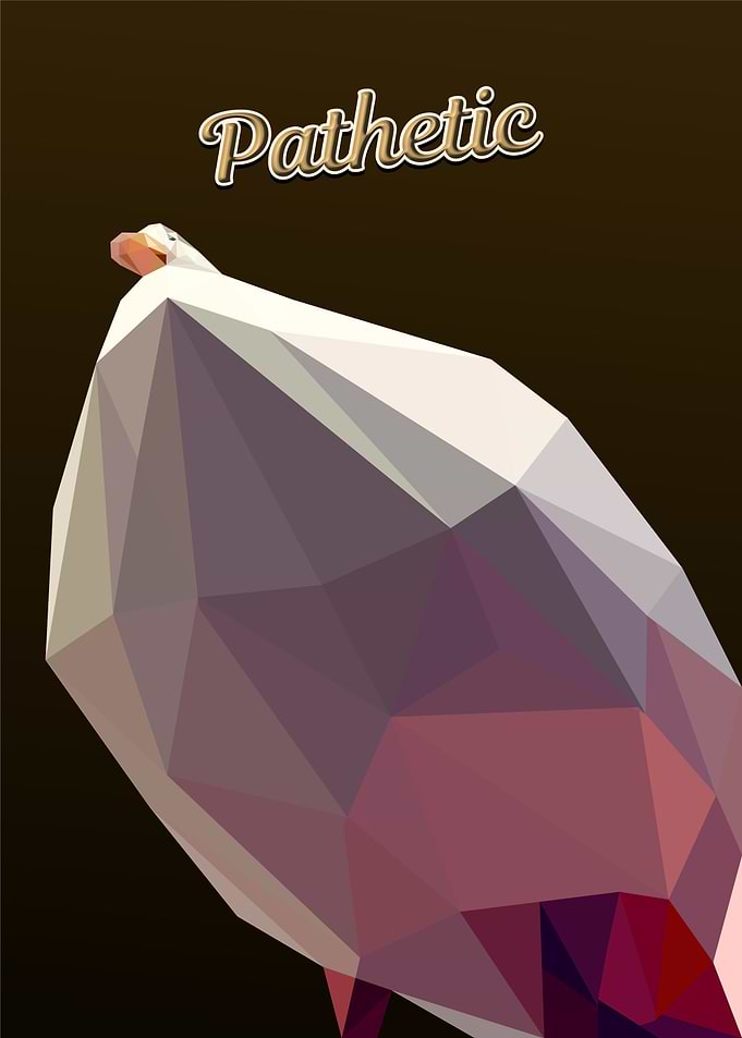 judgement duck
