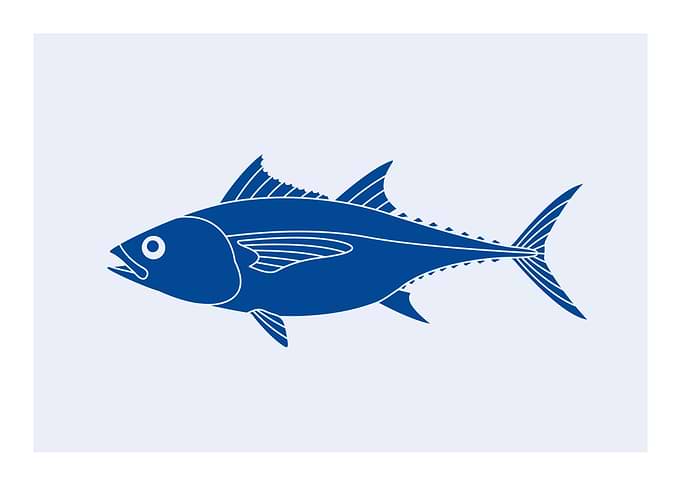 Capture Fish Flags