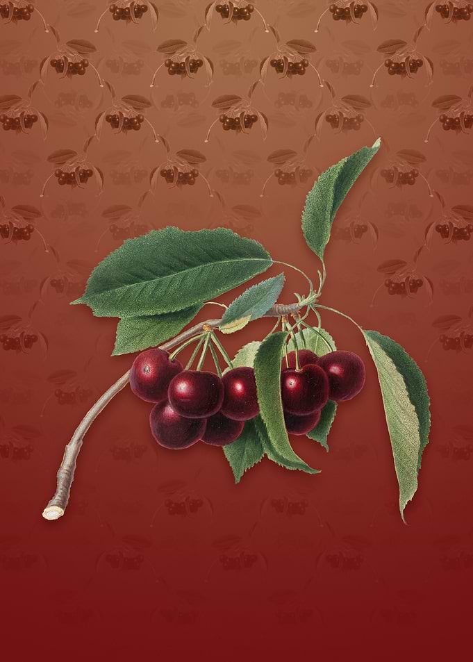 Vintage Cherry on Falu Red