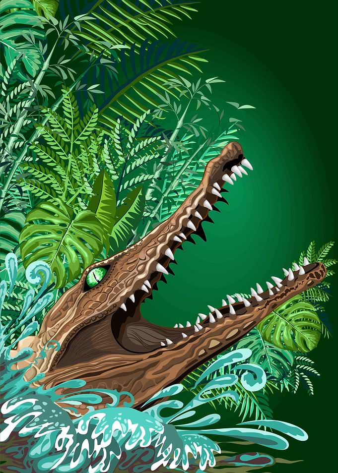 Crocodile Alligator Attack