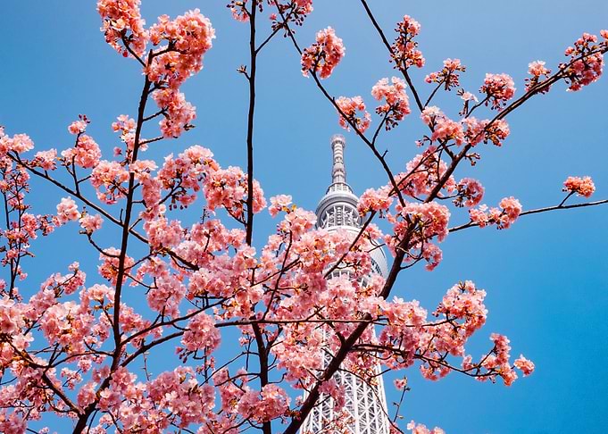 Tokyo