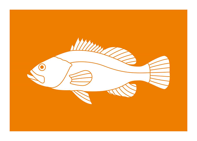 Capture Fish Flags
