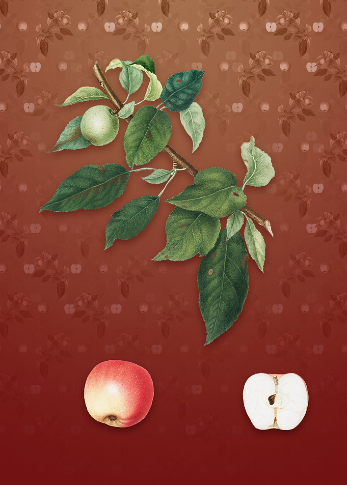 Vintage Apple on Falu Red