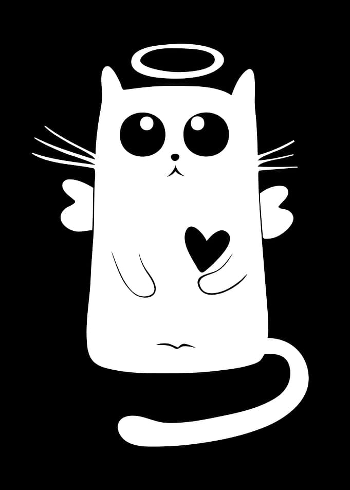 Angel cat