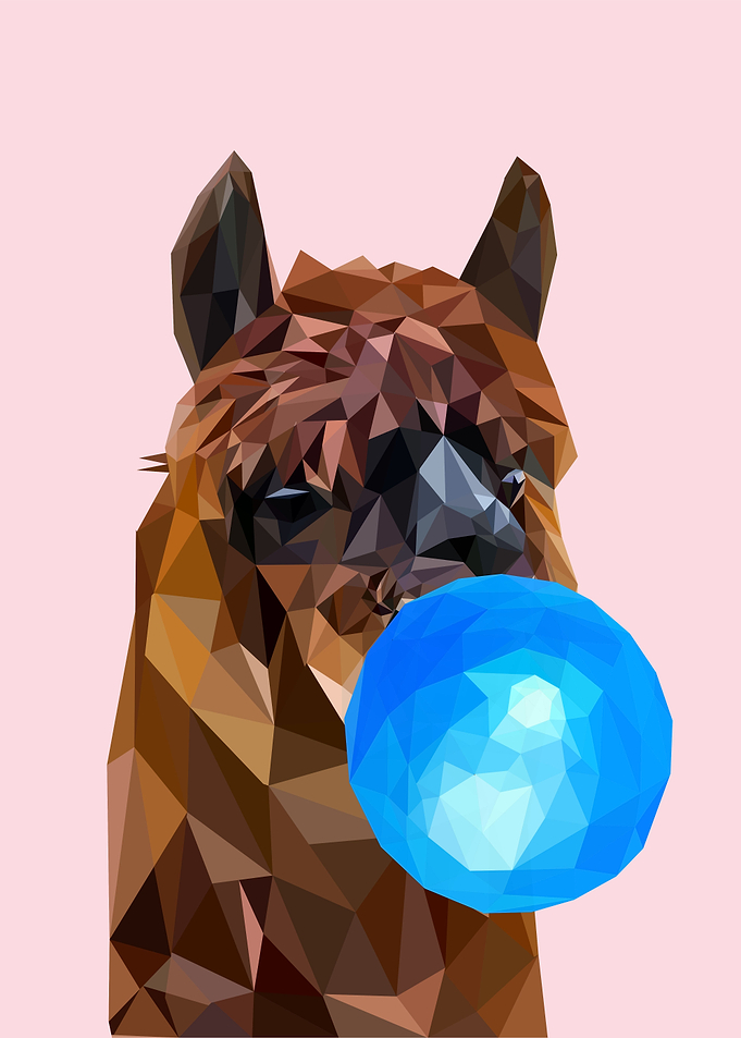 cute alpaca