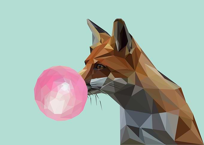 cute fox