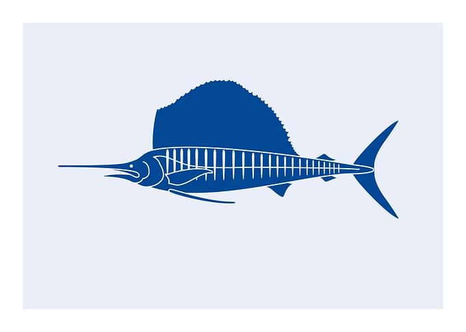 Capture Fish Flags