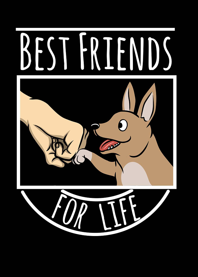 Chihuahua Best Friends