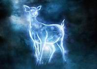 Doe Patronus