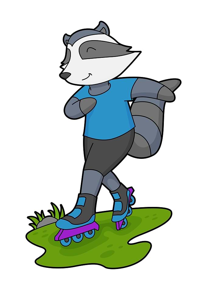 Racoon Inline skating