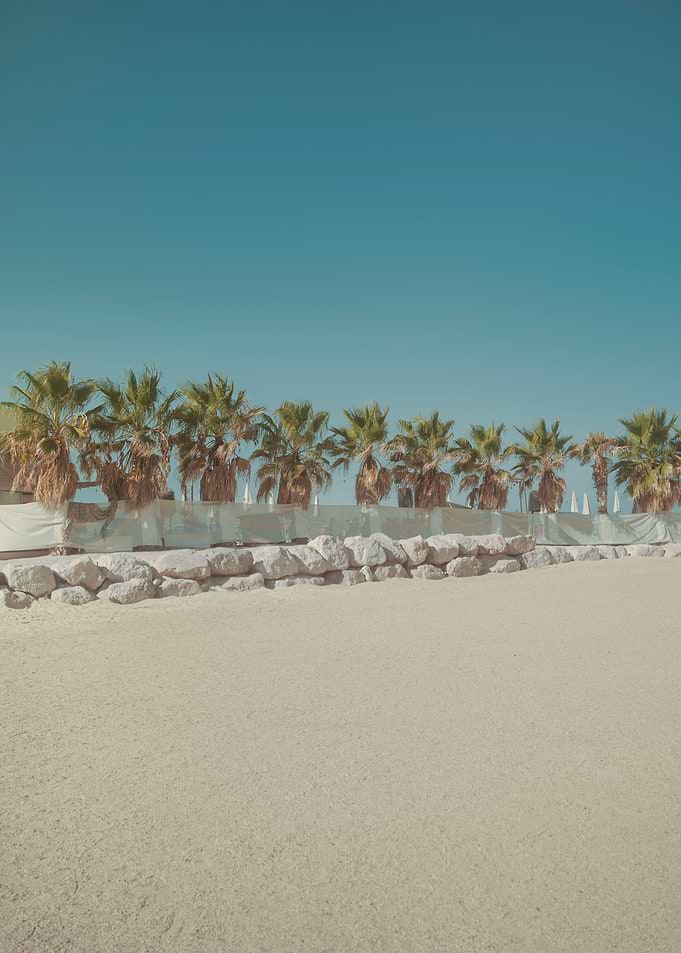 Palm beach