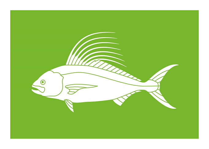 Capture Fish Flags