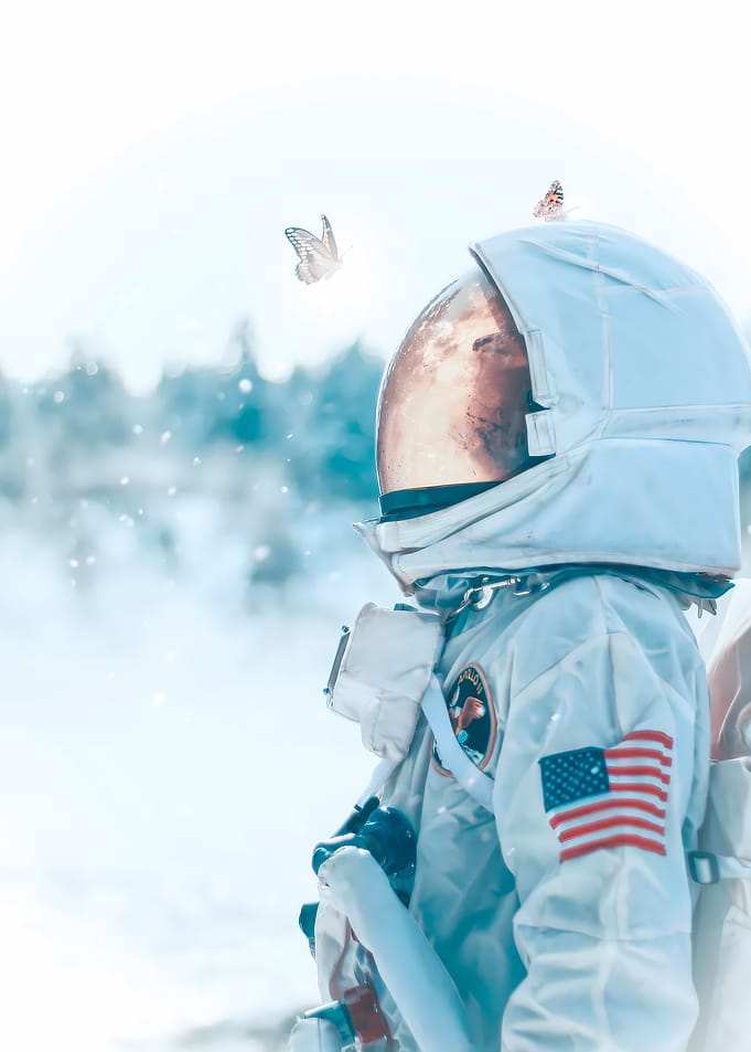 Astronaut Look Butterfly