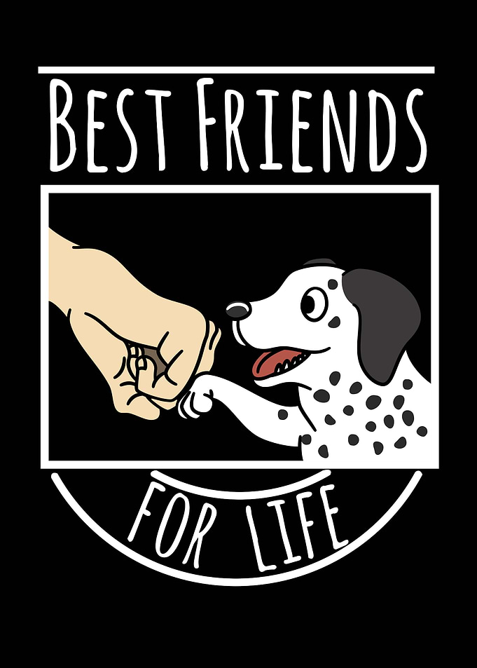 Dalmatian Best Friends