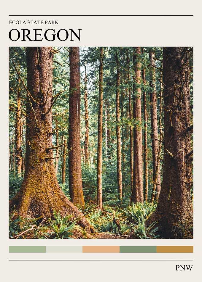 Oregon Forest Minimalist