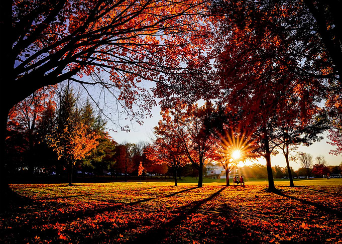Mid Autumn Sunset